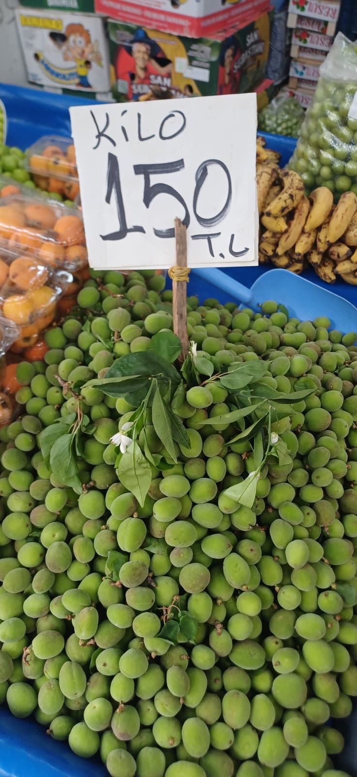 202604211127 1Cb97Ee1 Cd03 4B82 9628 232684Dba9E2