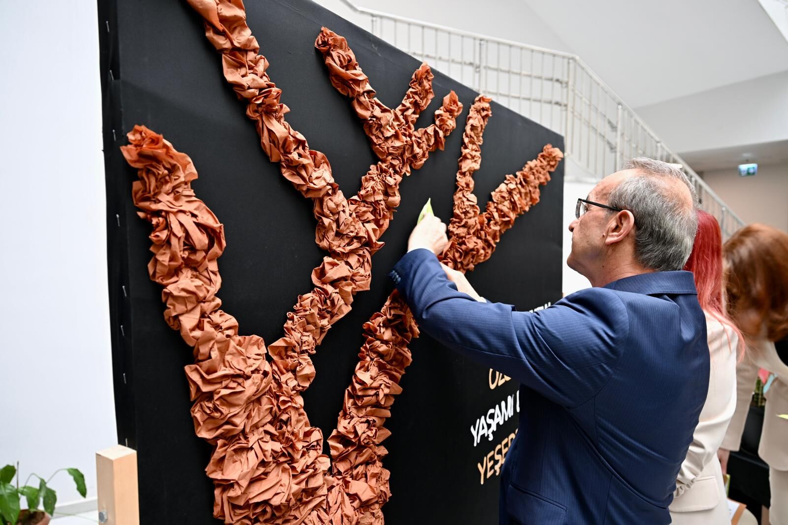 47819Cd1 Fa12 4F15 Ac85 6Efdb5A592A8