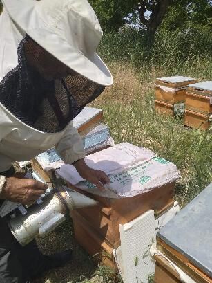 Kaynağı Malatya'da Bulunuyor...Bilim İnsanları ''Gençlik İksiri'' Üzerine Araştırma Yaptı