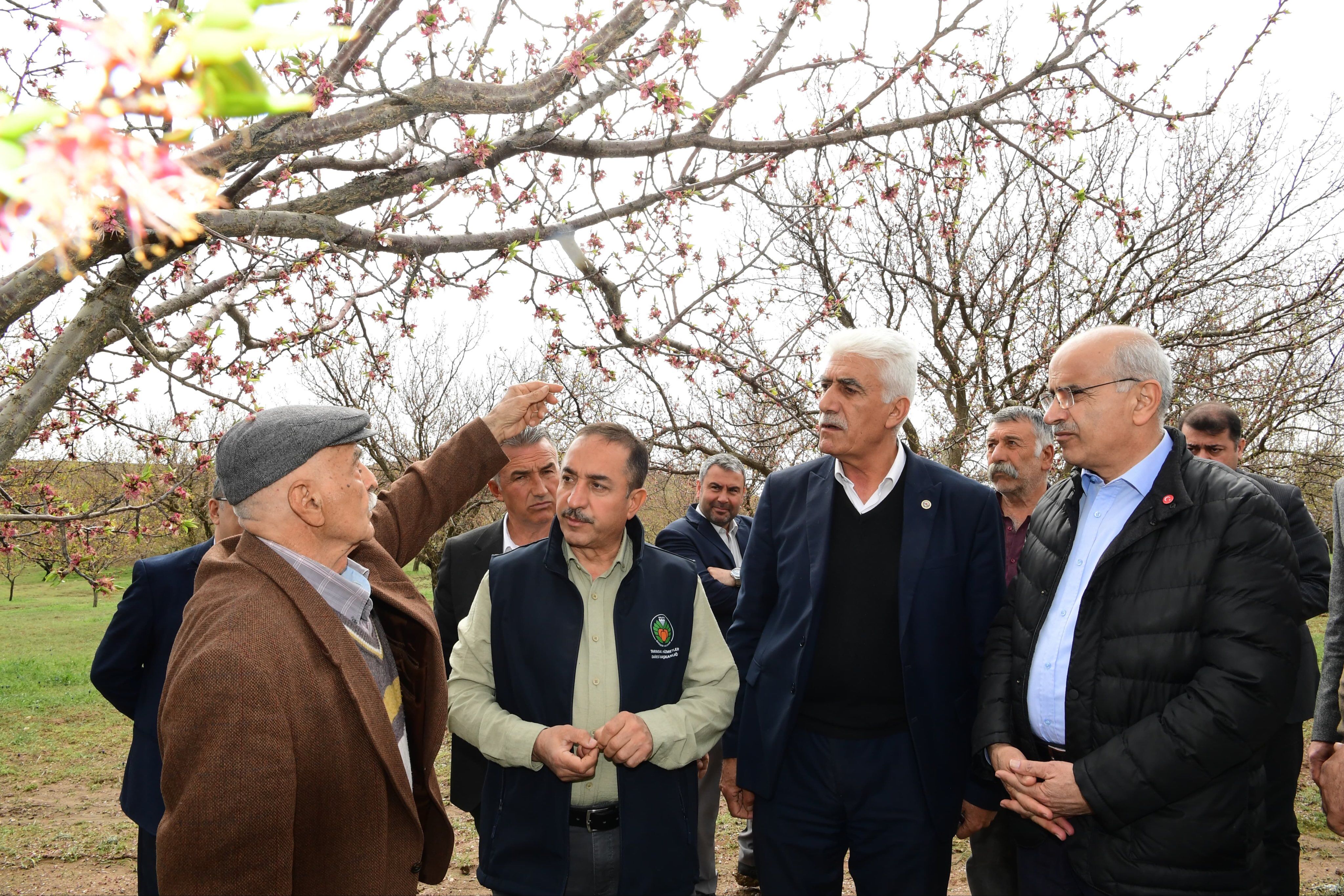 H G5 T U Pga E A A Z Wgq