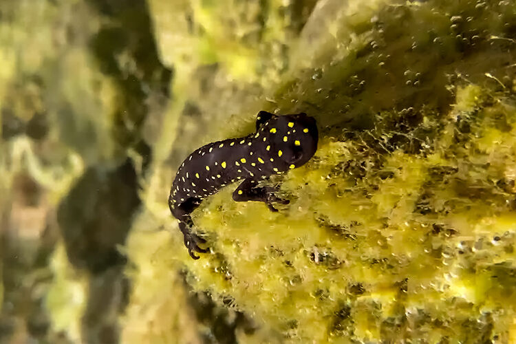 Malatya’da da Görüldü: Zarar Vermenin Cezası 557 Bin TL’yi Aşıyor!