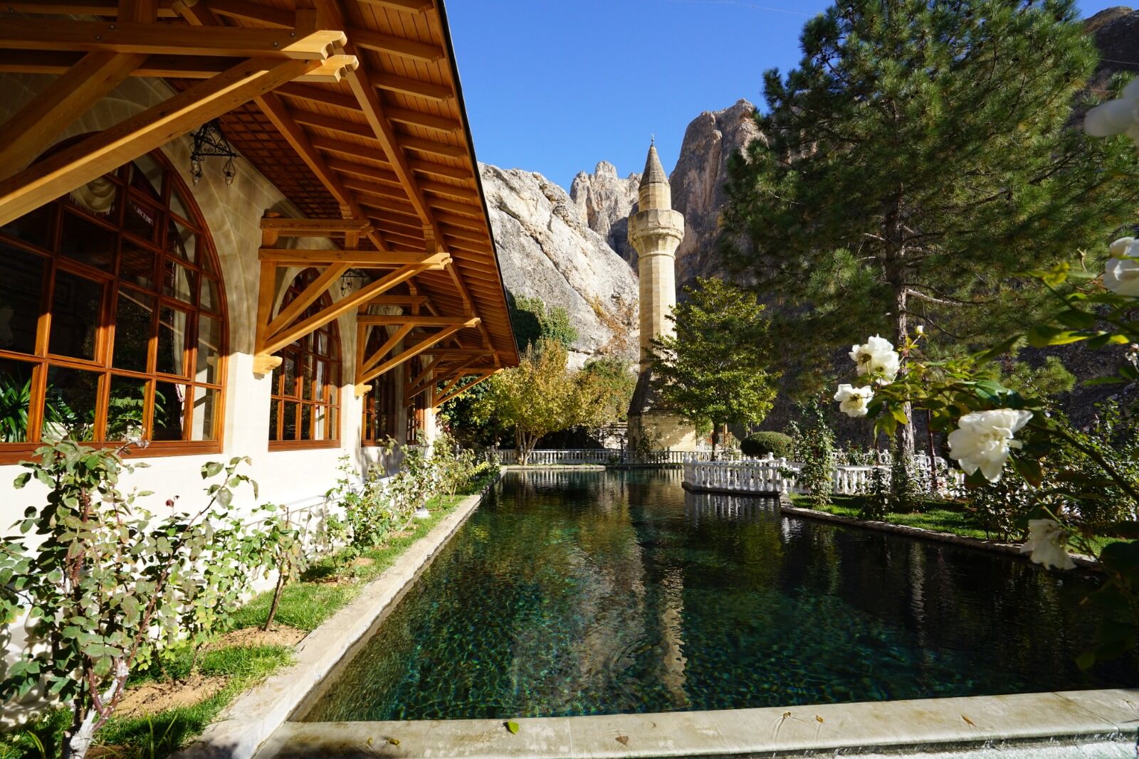 Whatsapp Image 2020 06 16 At 12 01 09 (1)(1)