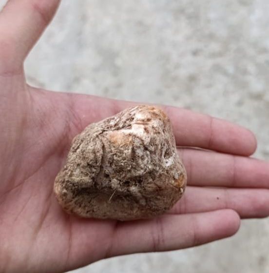 Whatsapp Image 2026 04 05 At 20.04.14