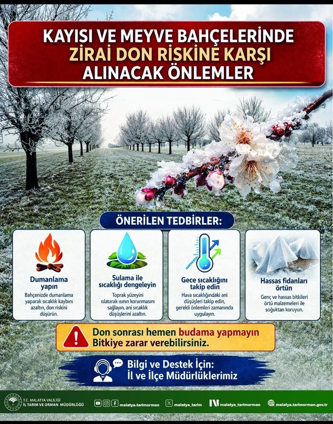 Whatsapp Image 2026 04 08 At 22.10.49