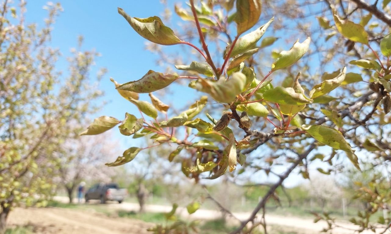 Whatsapp Image 2026 04 11 At 21.32.21