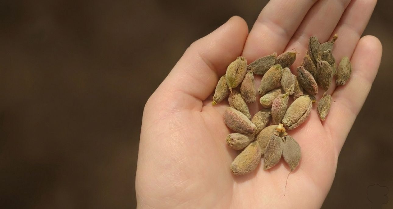 Whatsapp Image 2026 04 11 At 21.33.21