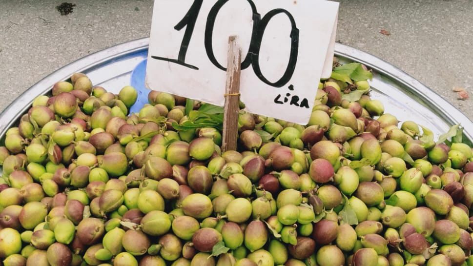 Whatsapp Image 2026 04 15 At 12.18.26