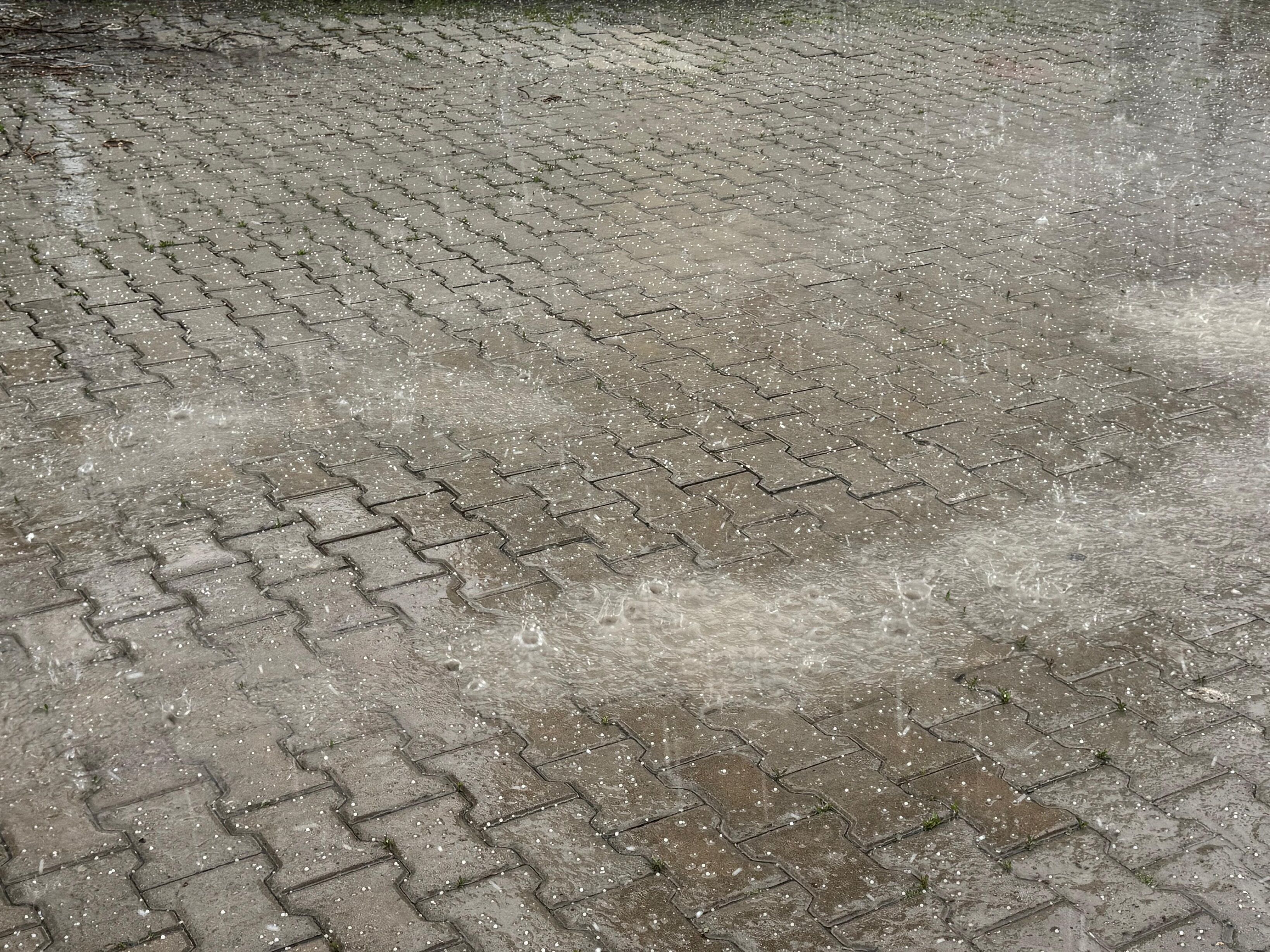 Whatsapp Image 2026 04 19 At 16.10.02