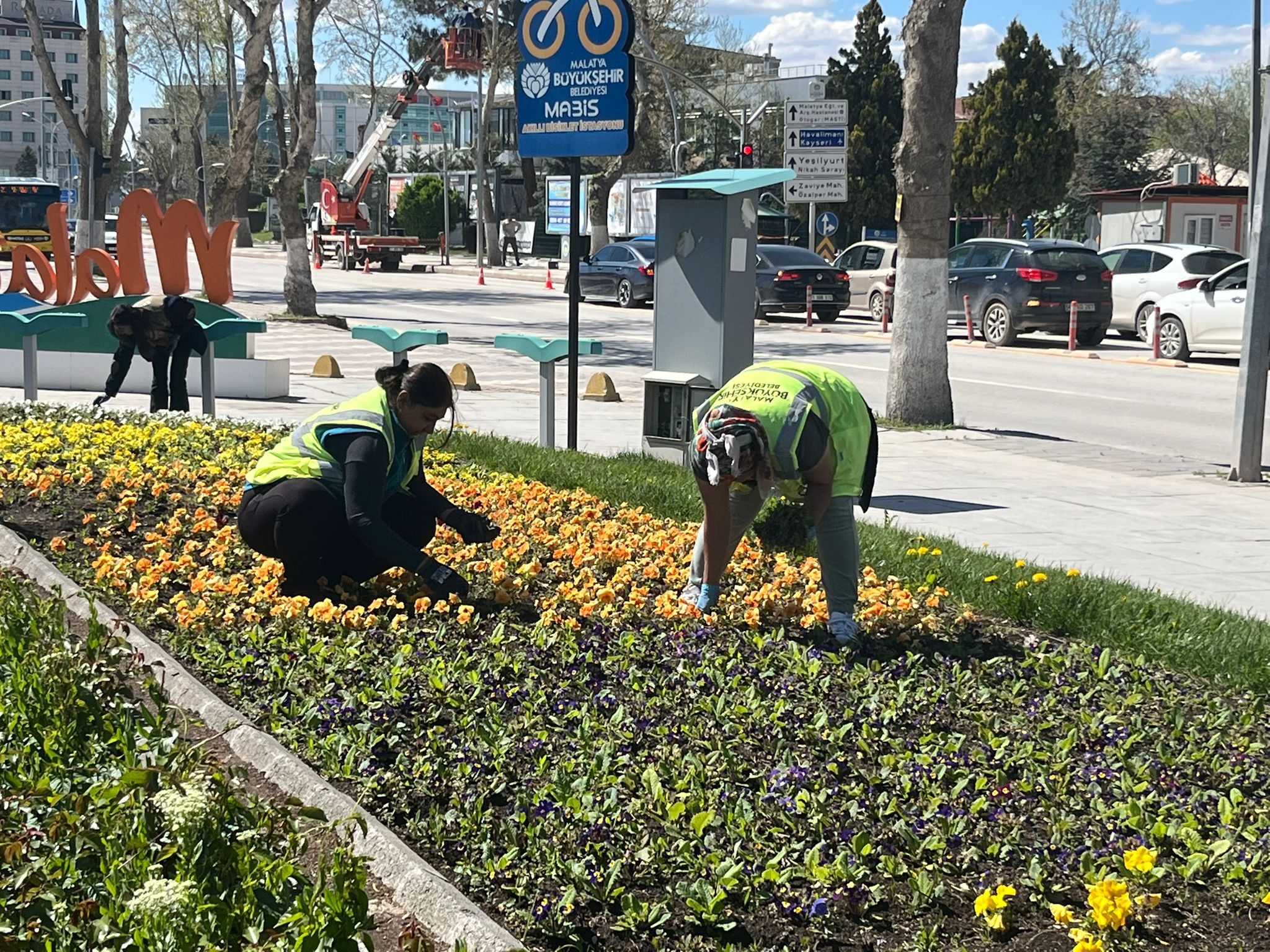 Malatya Renkleniyor: Şehir Bahara Çiçeklerle Uyandı