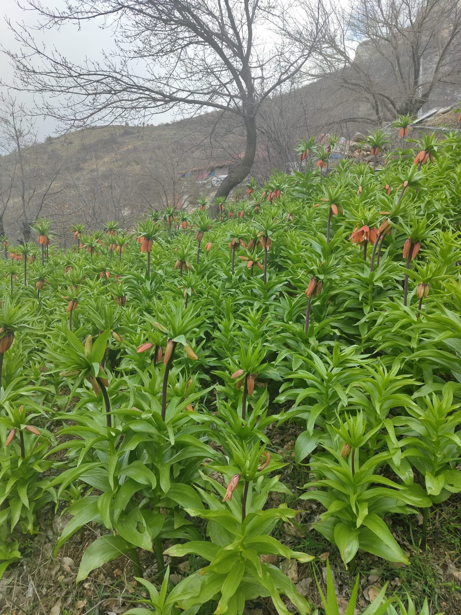 Whatsapp Image 2026 04 23 At 12.22.57