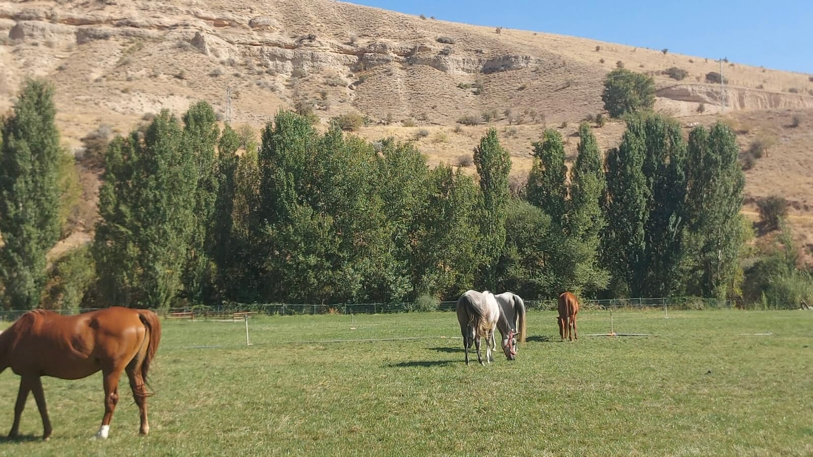 Whatsapp Image 2026 04 23 At 16.33.19