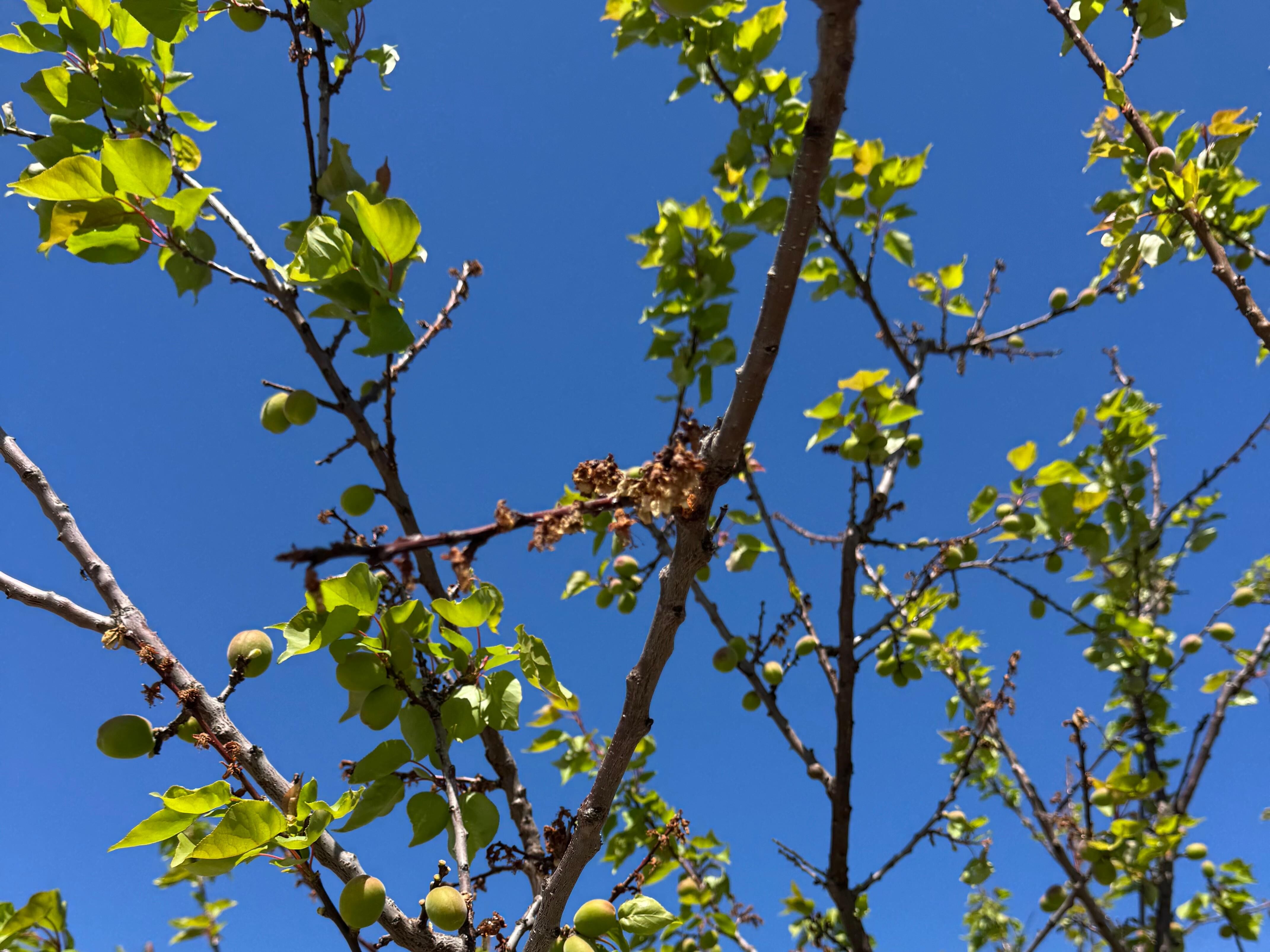 Whatsapp Image 2026 04 26 At 13.34.54