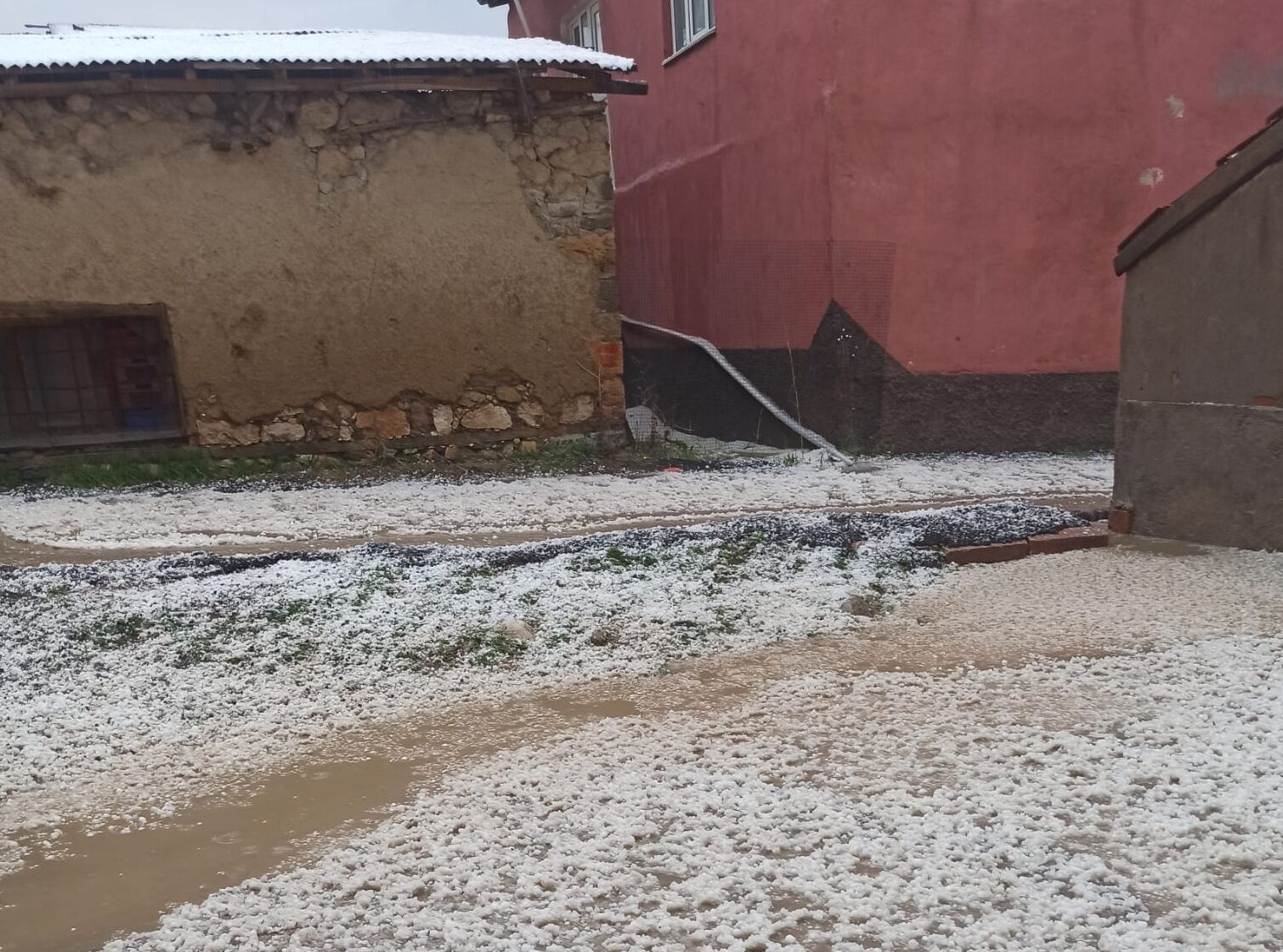 Whatsapp Image 2026 04 26 At 19.47.20