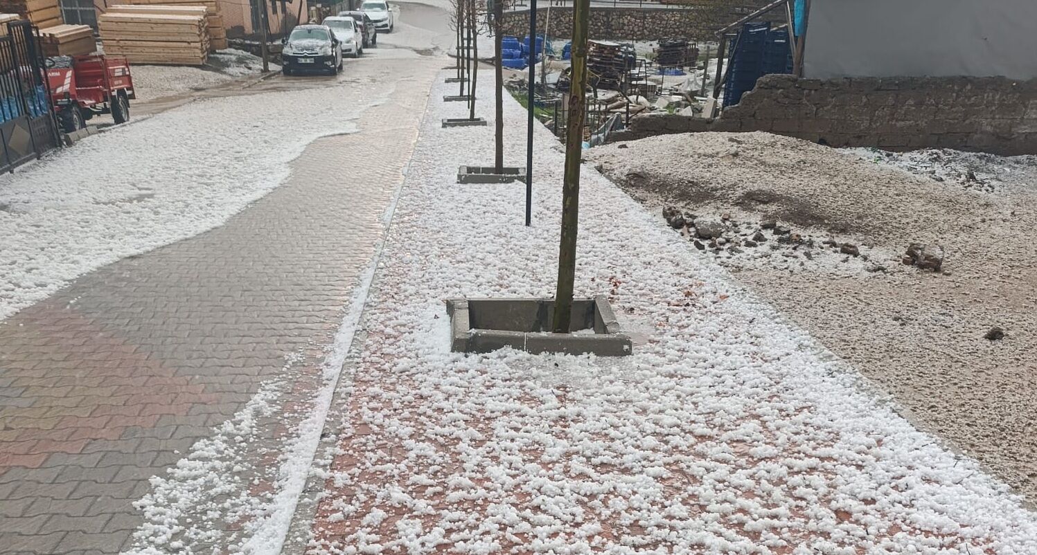 Whatsapp Image 2026 04 26 At 19.53.54