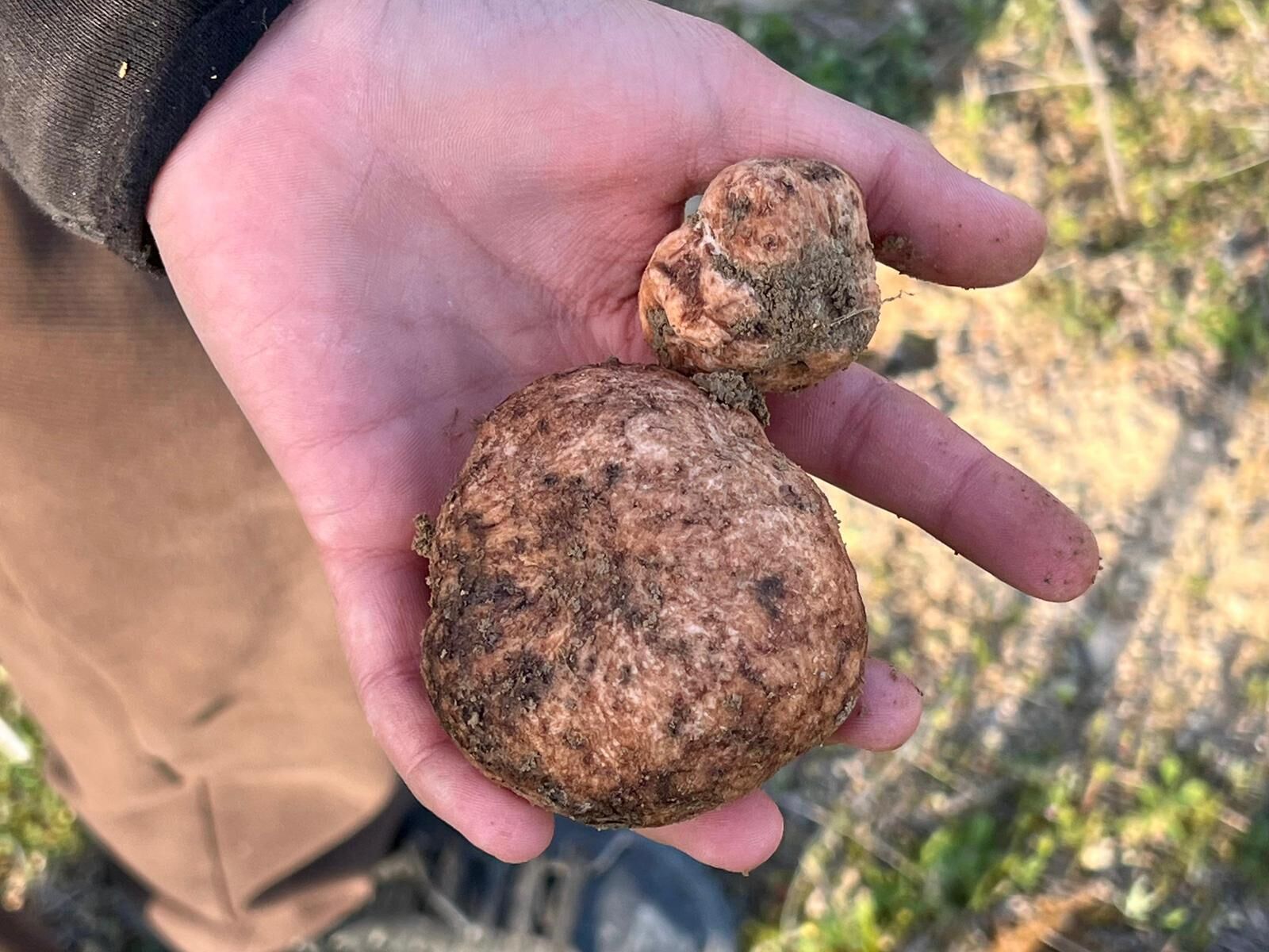 Whatsapp Image 2026 04 27 At 12.36.11 (2)