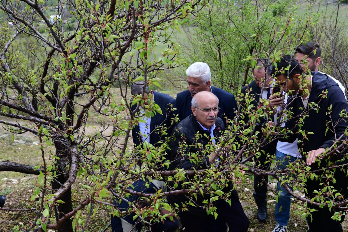 Whatsapp Image 2026 04 27 At 17.17.51