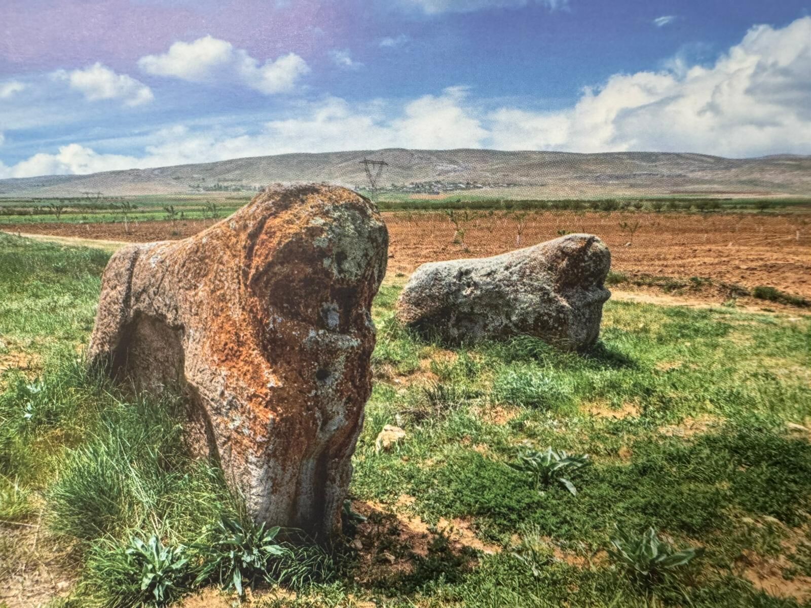 Whatsapp Image 2026 04 28 At 14.17.40