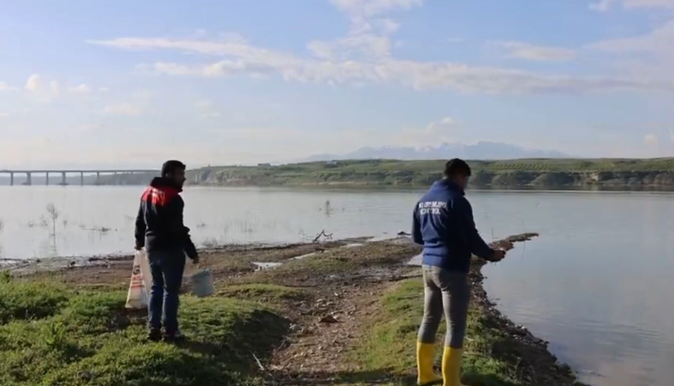 Balık Ağı 1
