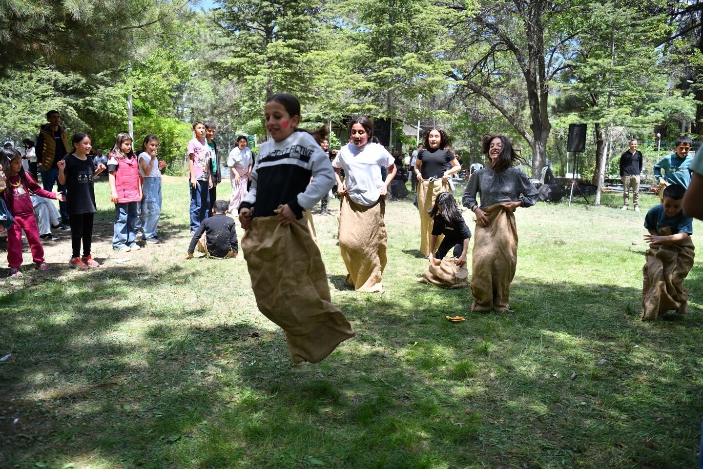 Şenlik 3