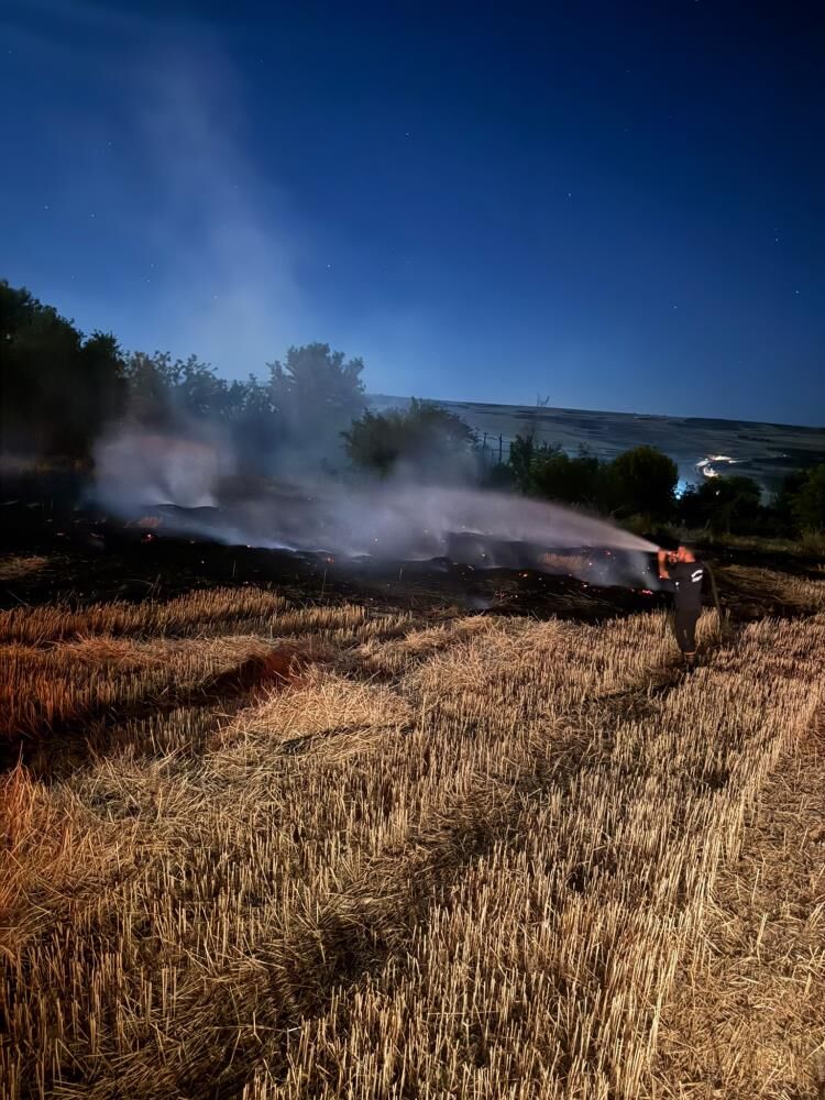 Anız 2