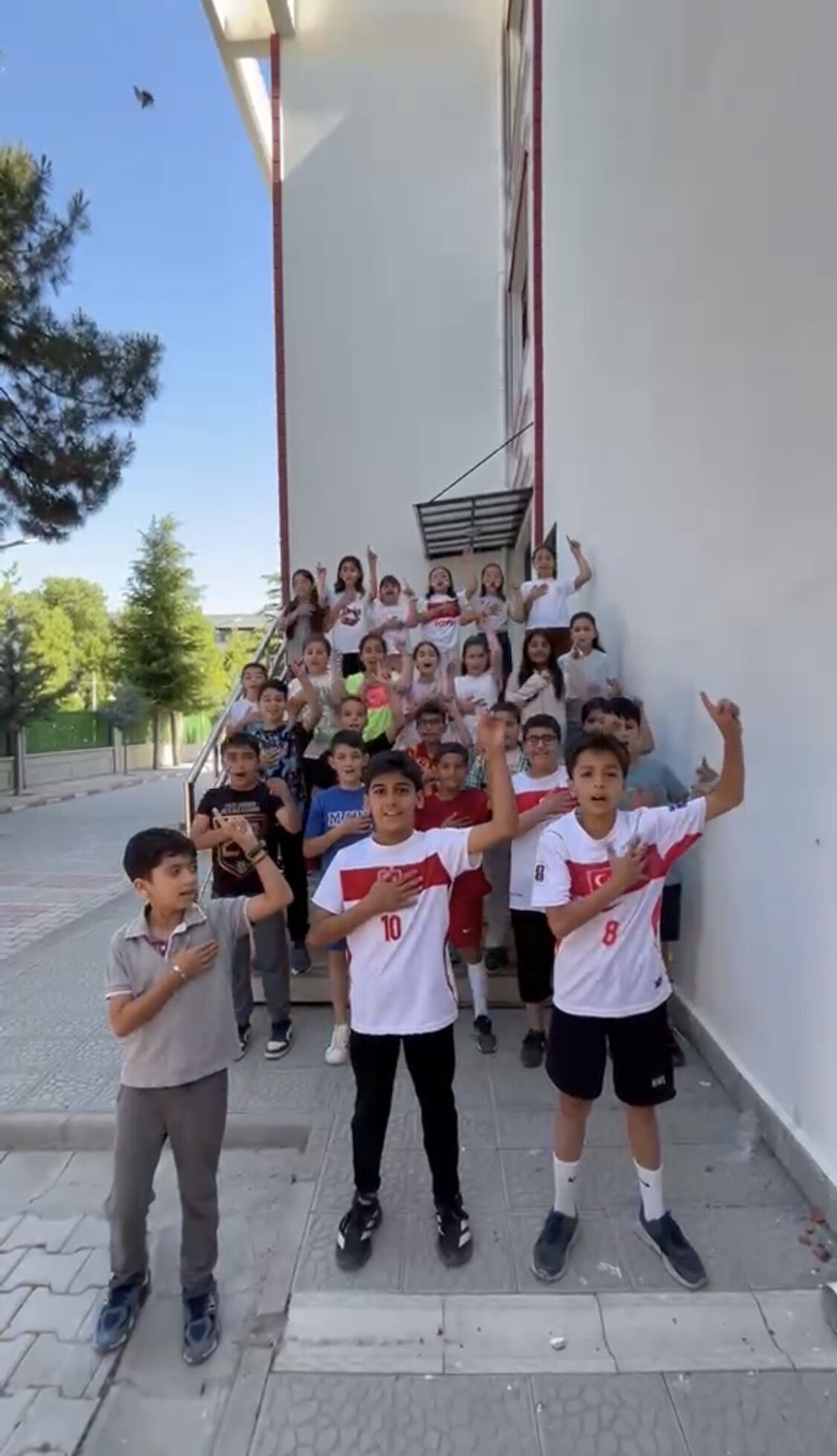 Milli Takım 2
