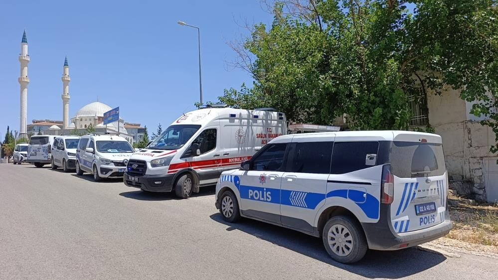 Polis 2