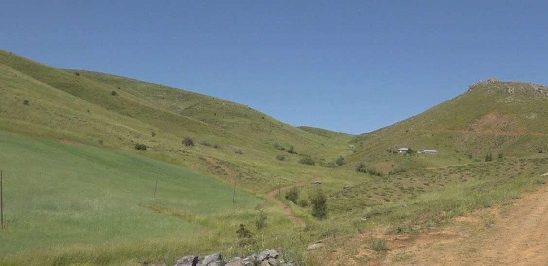 Yayla 2