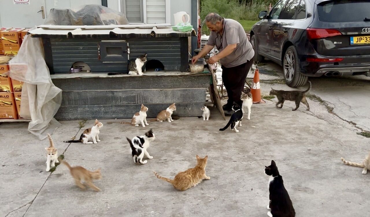 202607140942 Img 1683-2