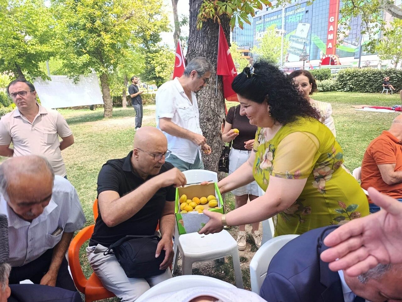 Ankara 3
