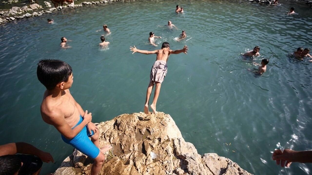 Yaşam