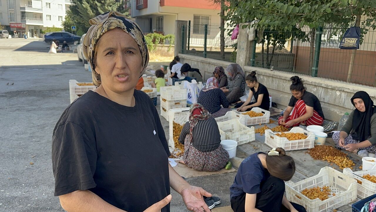Kayısı 4