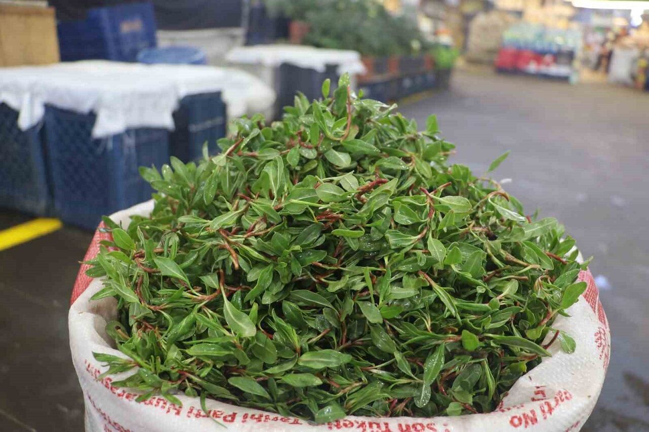 Madımak
