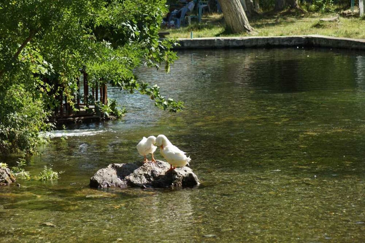 Sürgü Takaz 1