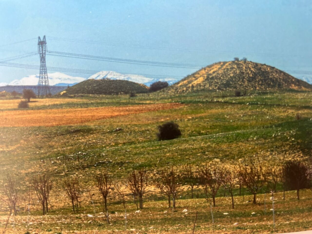 Üçtepe Tümülüsleri