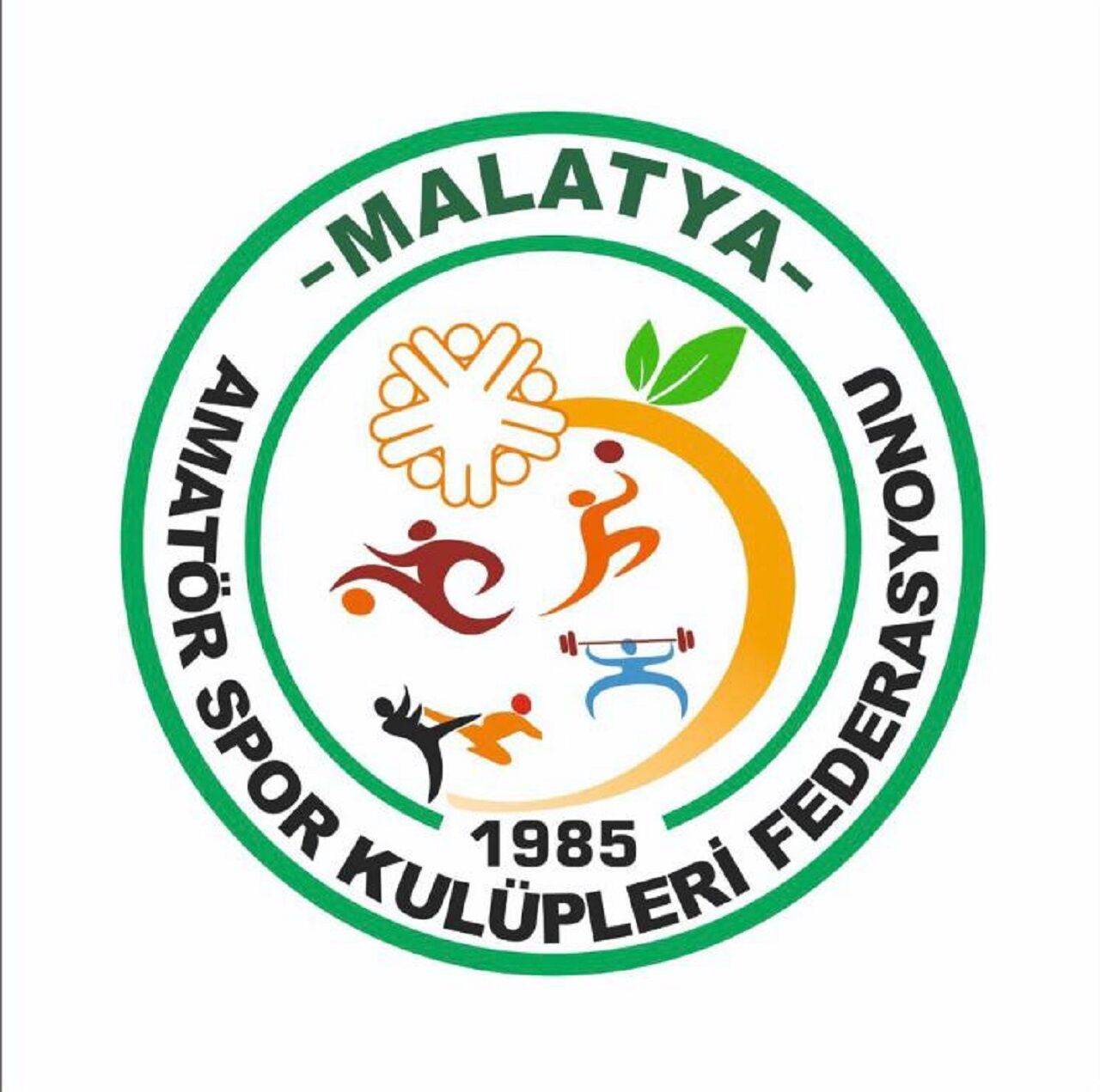 Federasyon