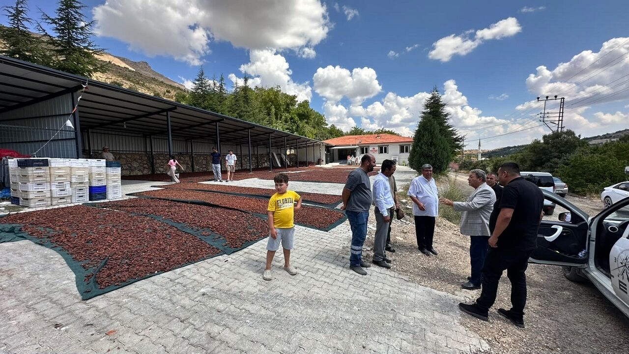Fendoğlu-3