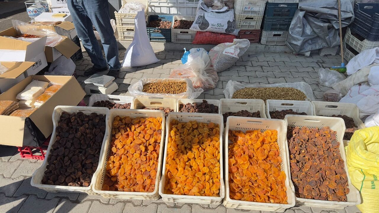 Kayısı4