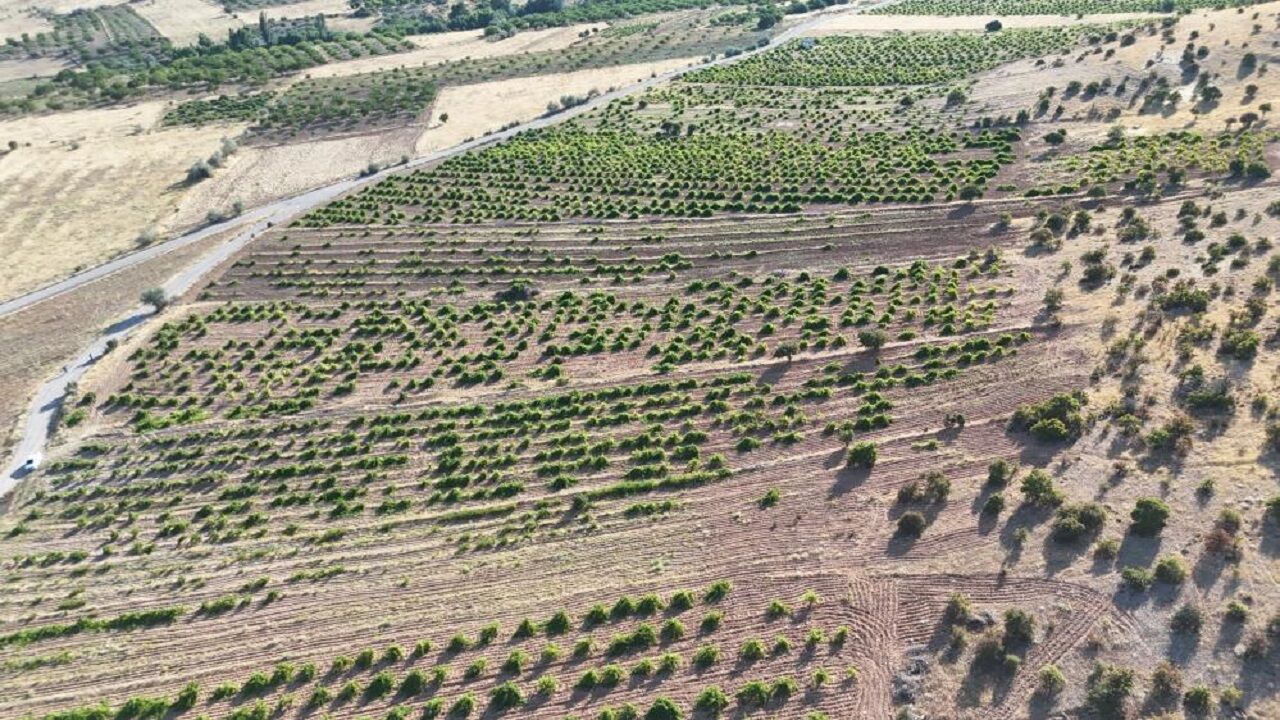 Üüzm 2