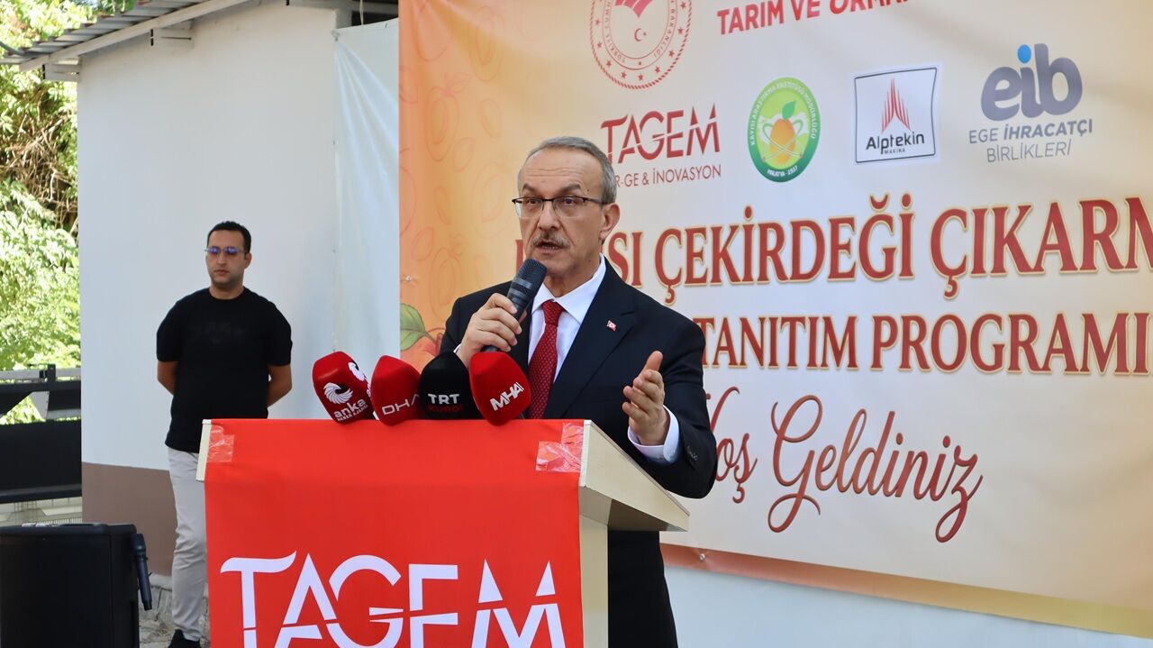 Vali Yeni