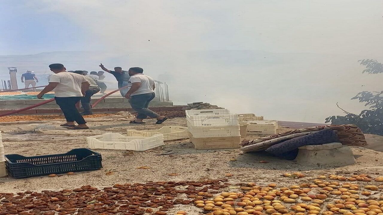 Asayiş