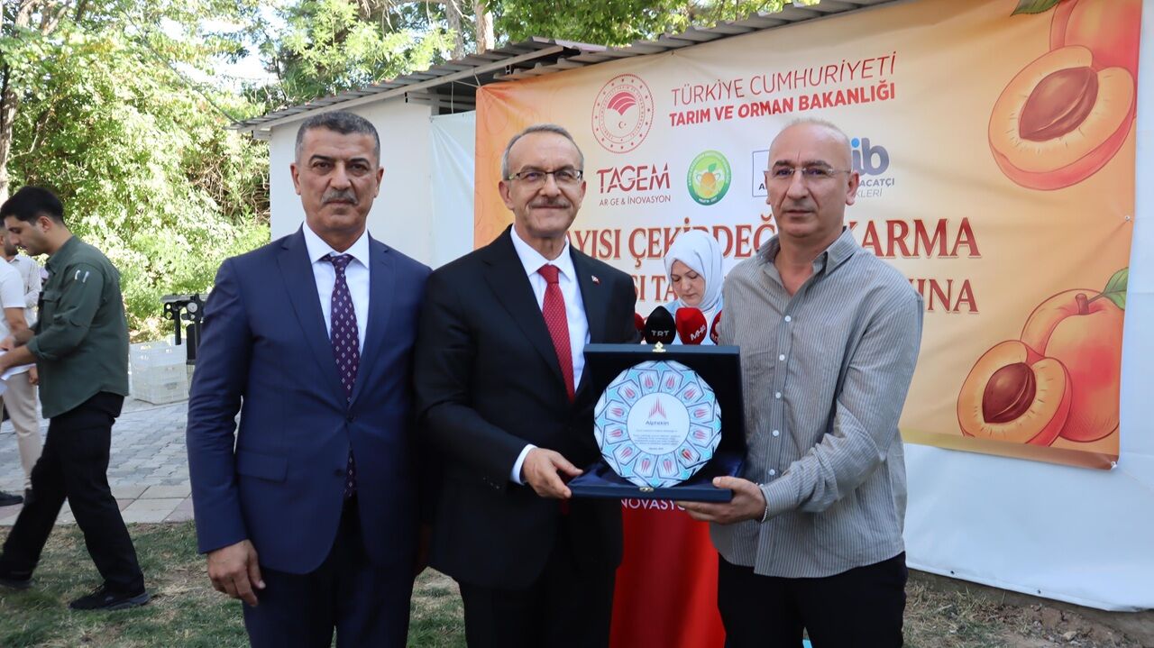 Yeni-3