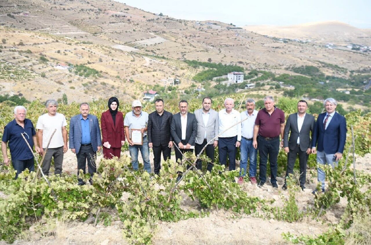 Malatya’nın Tescilli Üzümünde Yeni Dönem: Banazı Karası İçin Hedef Büyütüldü
