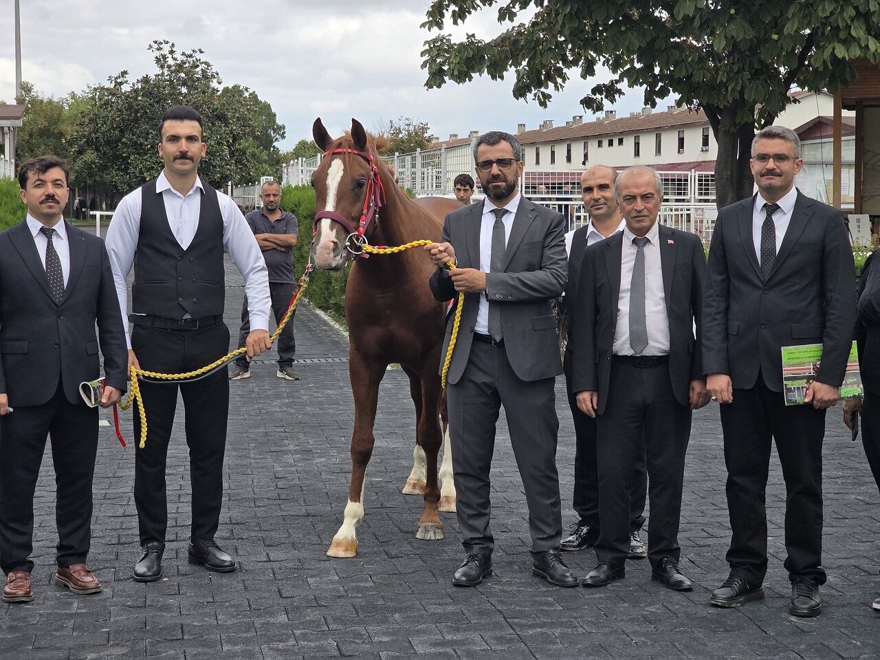 Malatya’da Yetiştirildi, Veliefendi’de Milyonlara Satıldı! En Pahalı Tay 8,75 Milyon TL