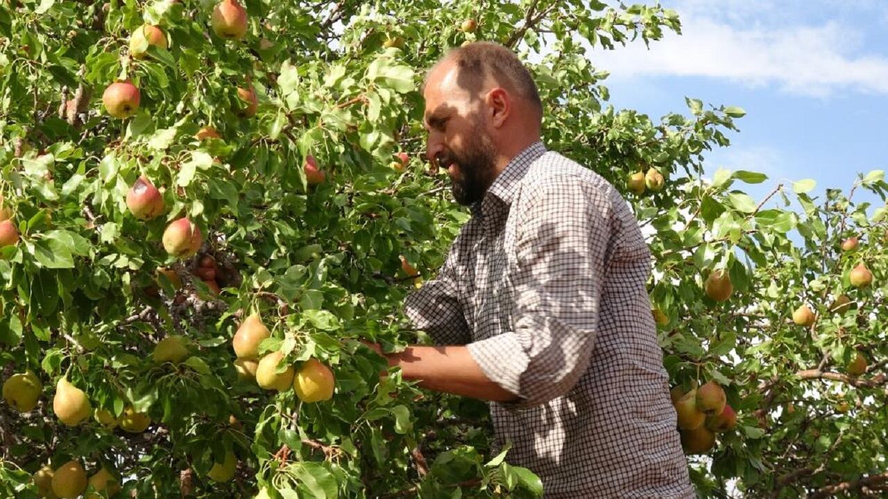 Akçadağ
