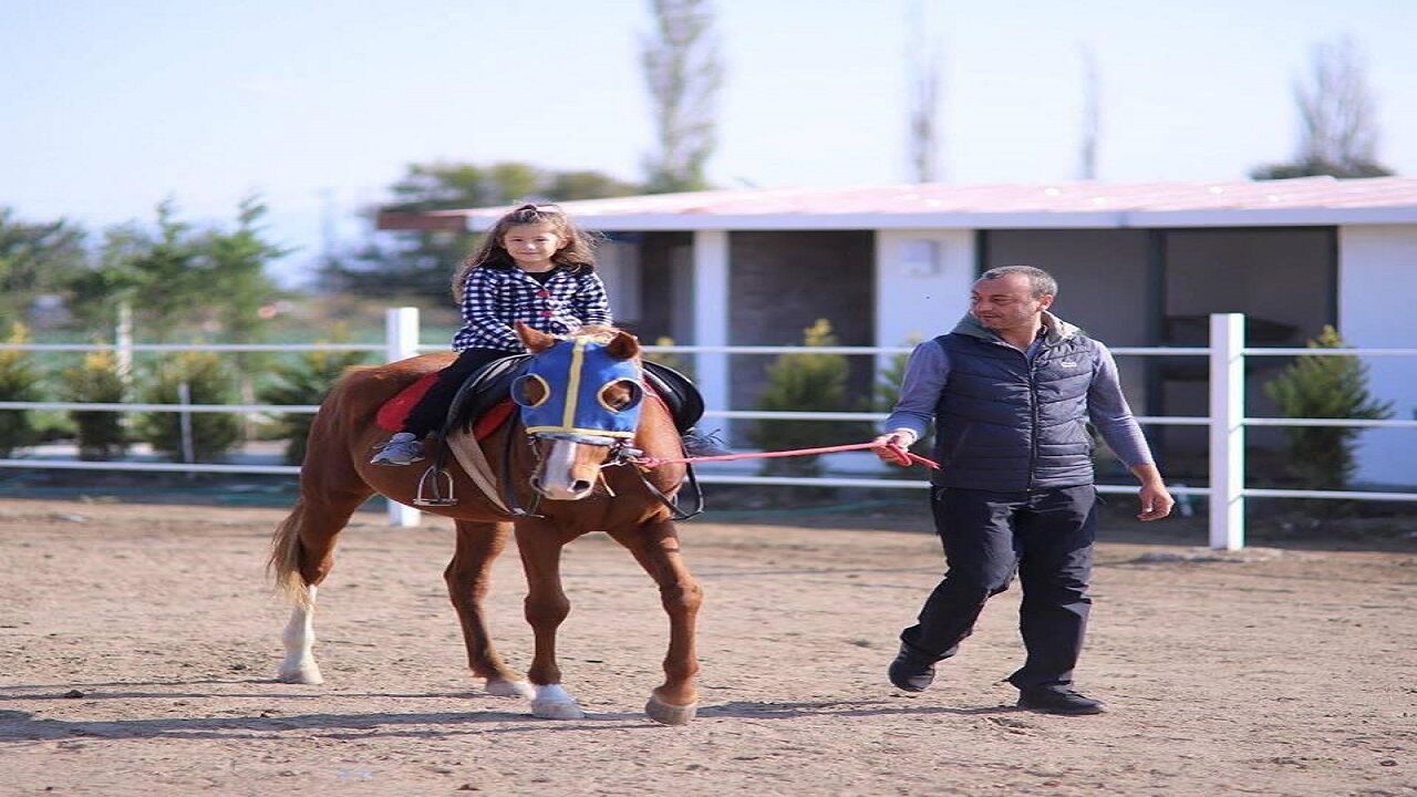 At Çiftliğiii
