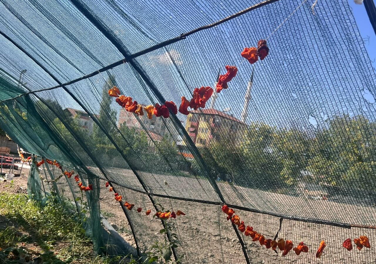Yaşam