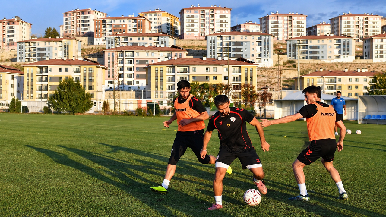 Spor