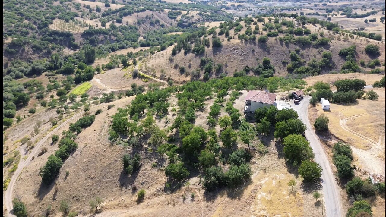 Malatya Fıstık Bahçesi