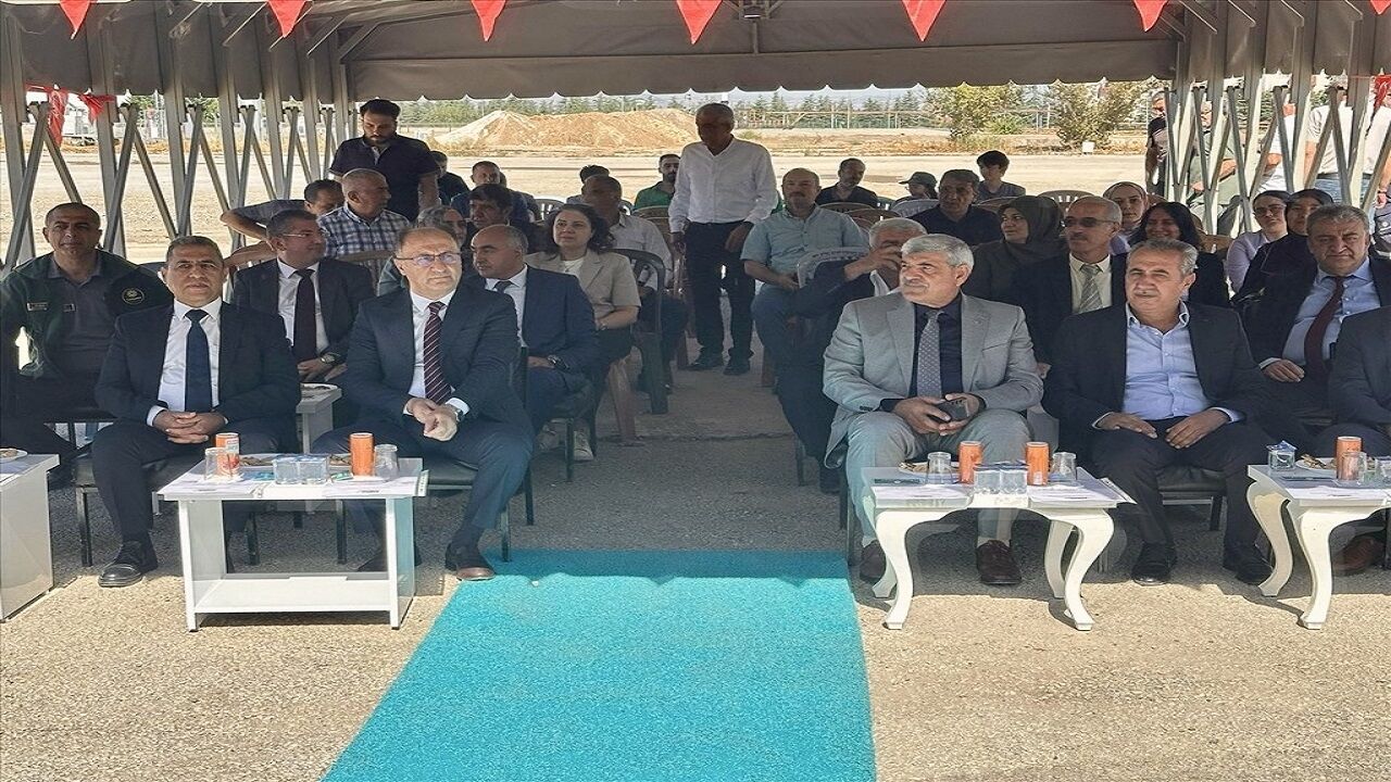 Malatya Şeker Pancarııı