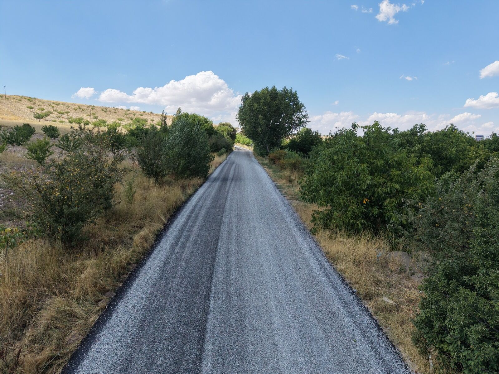 yol-21
